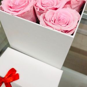 Meet your Posher, Natasha